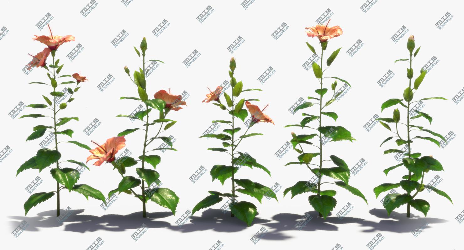 images/goods_img/20210319/Flower Open/2.jpg